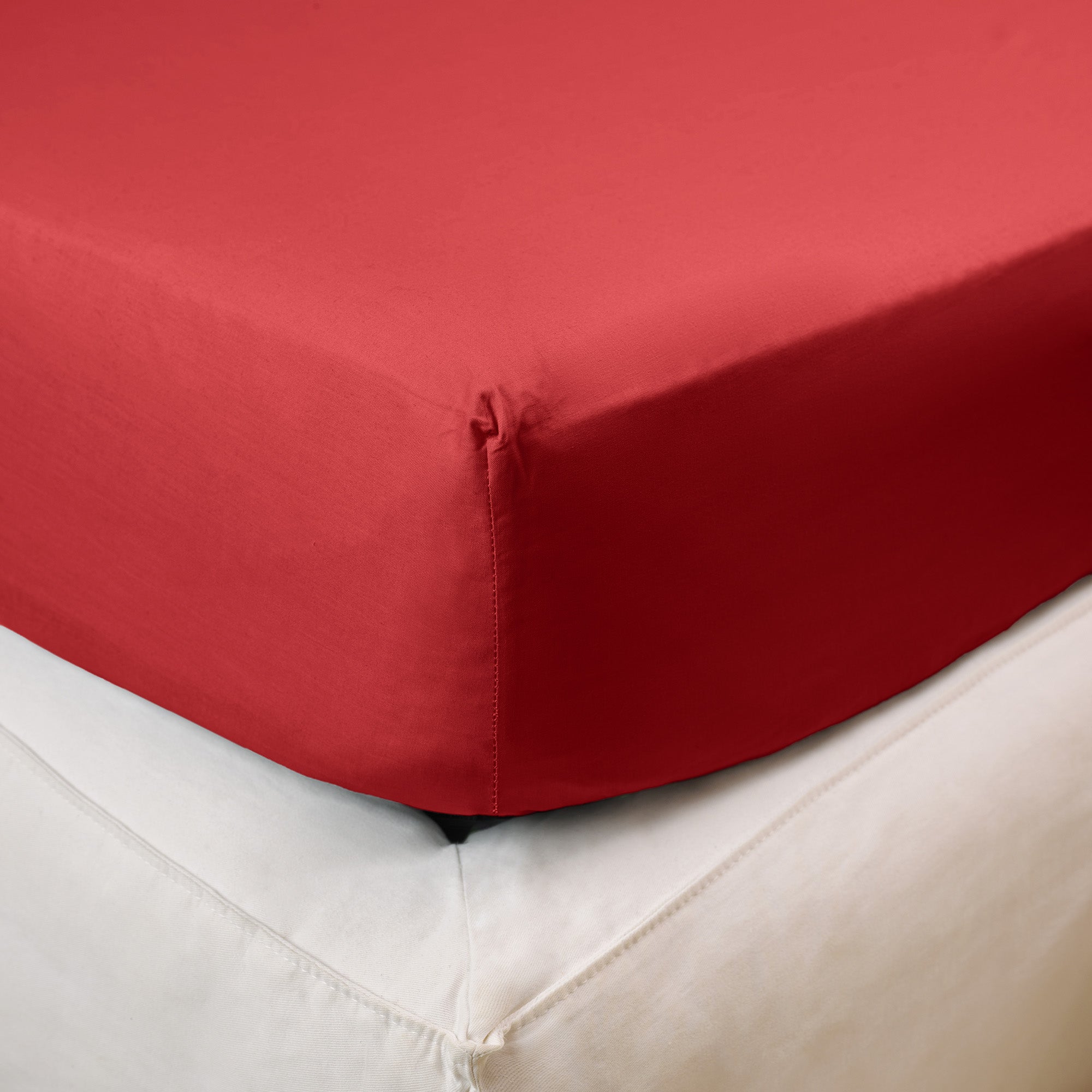 dalfilo-lenzuolo-sotto-in-percalle-di-cotone-con-angoli-elasticizzati-outlet image 2