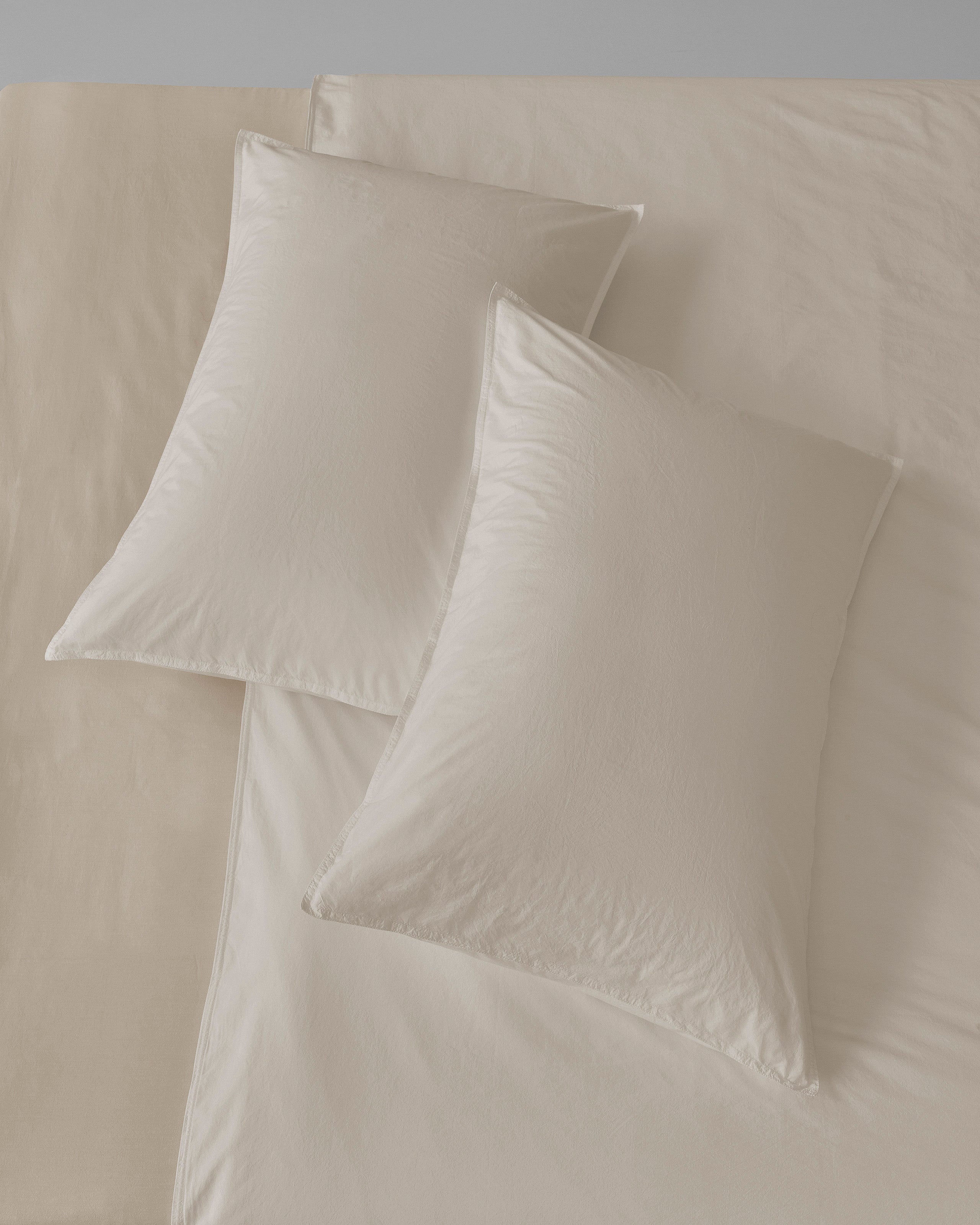 society-limonta-nite-set-federe-in-cotone-pelle-d-uovo image 5