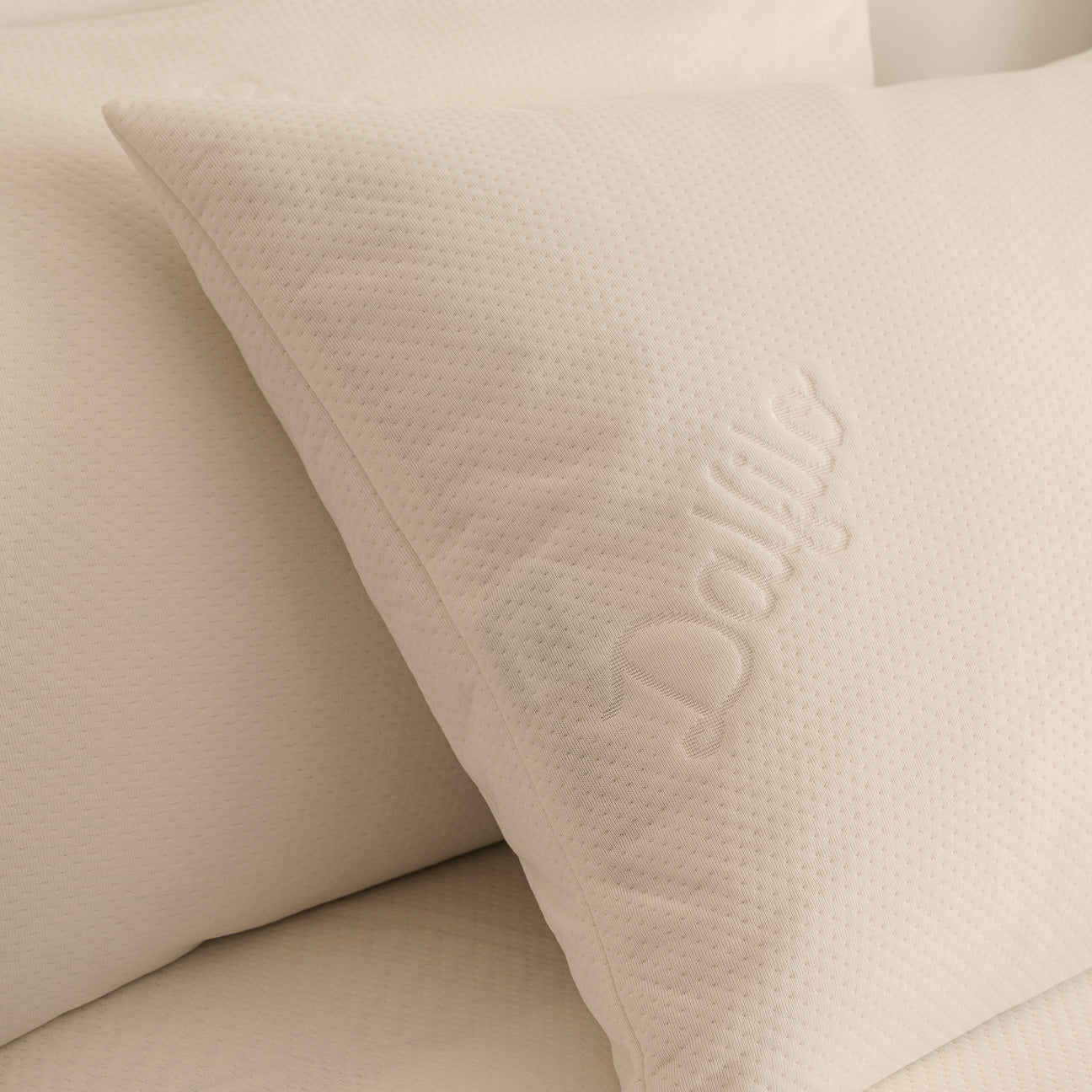 dalfilo-set-2-copricuscini-idrorepellenti-antiacaro-50x80-cm image 2