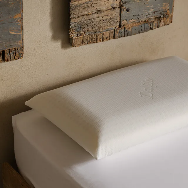 dalfilo-cuscino-in-memory-foam-traspirante-50x80-h12-cm-saponetta image 1