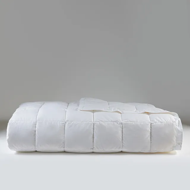 rivolta-carmignani-comfort-90-piumino-matrimoniale-260x220-cm-piuma-d-oca image 1
