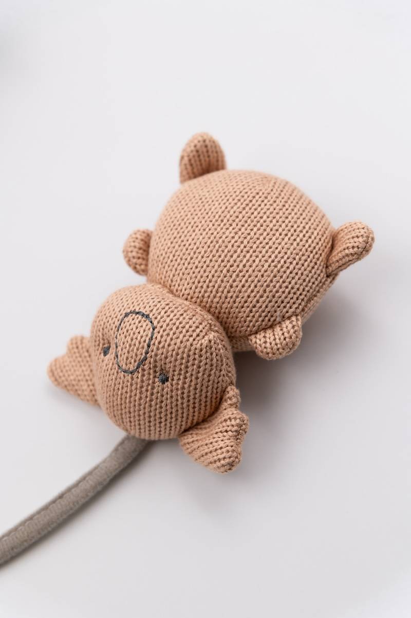 bamboom-stroller-string-toys-animal-friends-sabbia-09 image 4