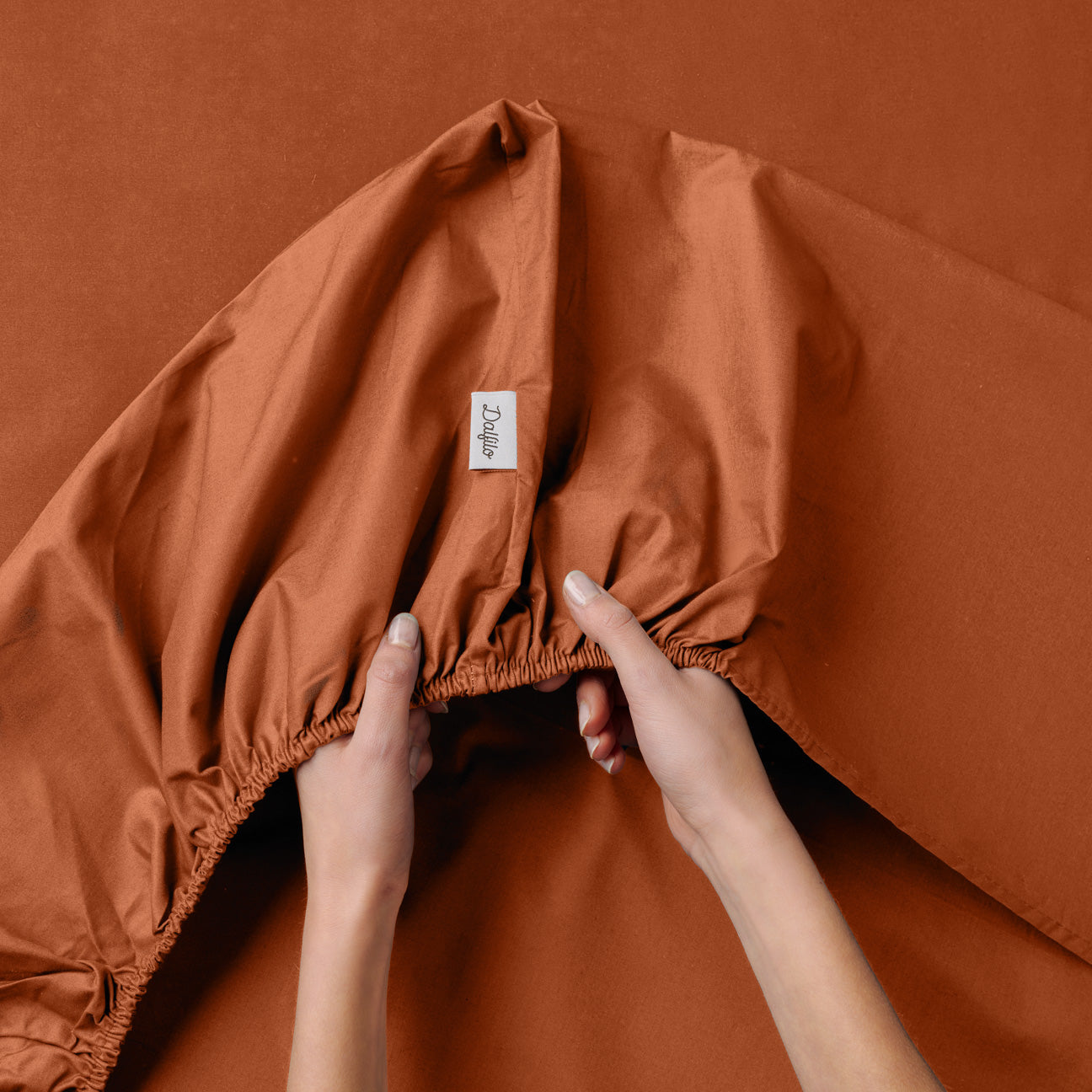 dalfilo-lenzuolo-sotto-in-raso-con-angoli-elastici image 8