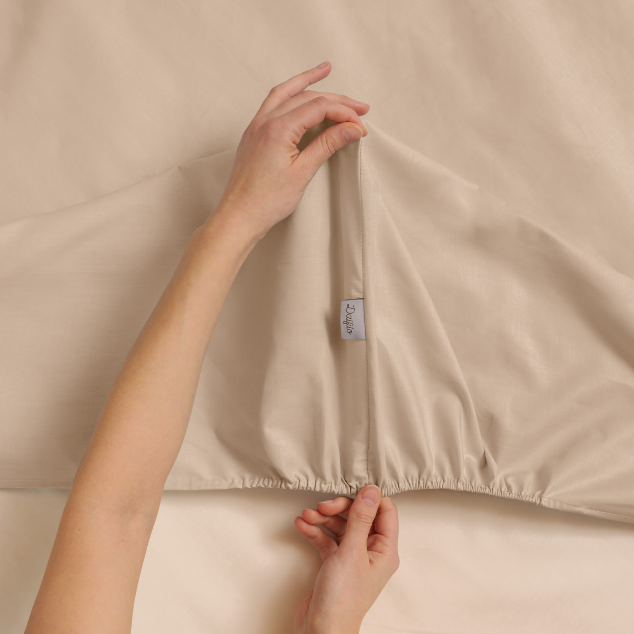 dalfilo-lenzuolo-sotto-in-cotone-con-angoli-elastici-linea-classica-made-in-ital image 5