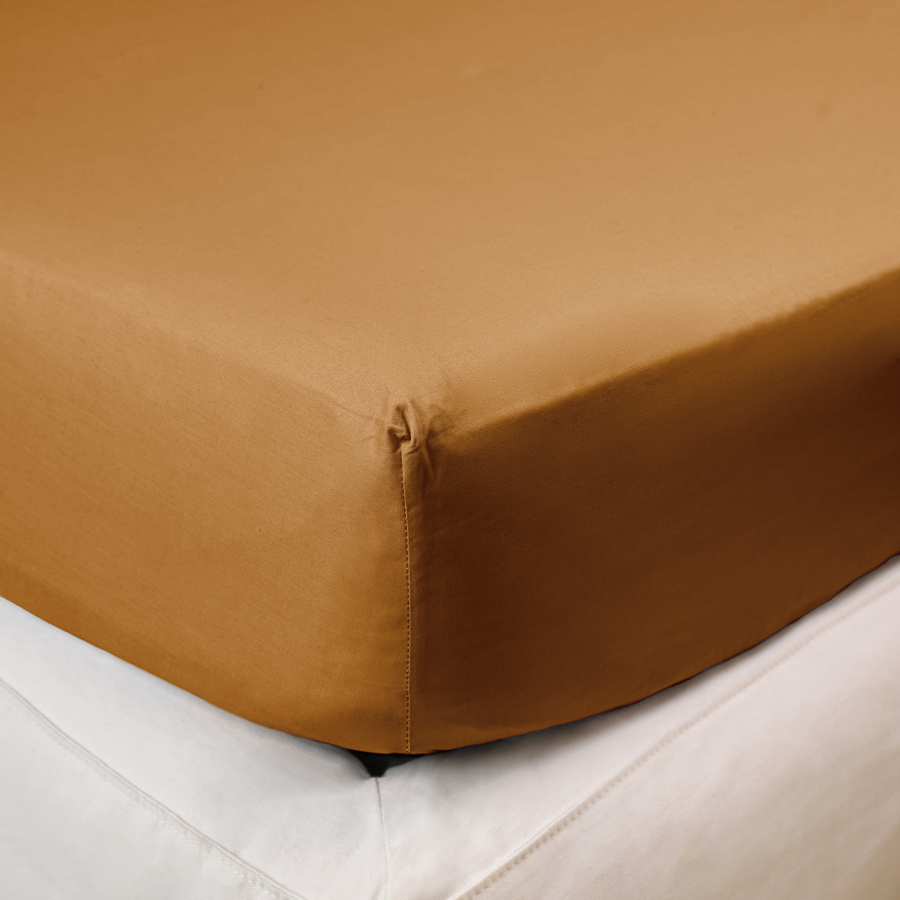 dalfilo-completo-letto-all-in-in-percalle-5-pezzi image 8