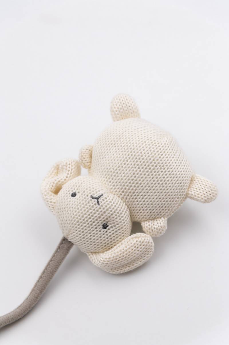 bamboom-stroller-string-toys-animal-friends-sabbia-09 image 6