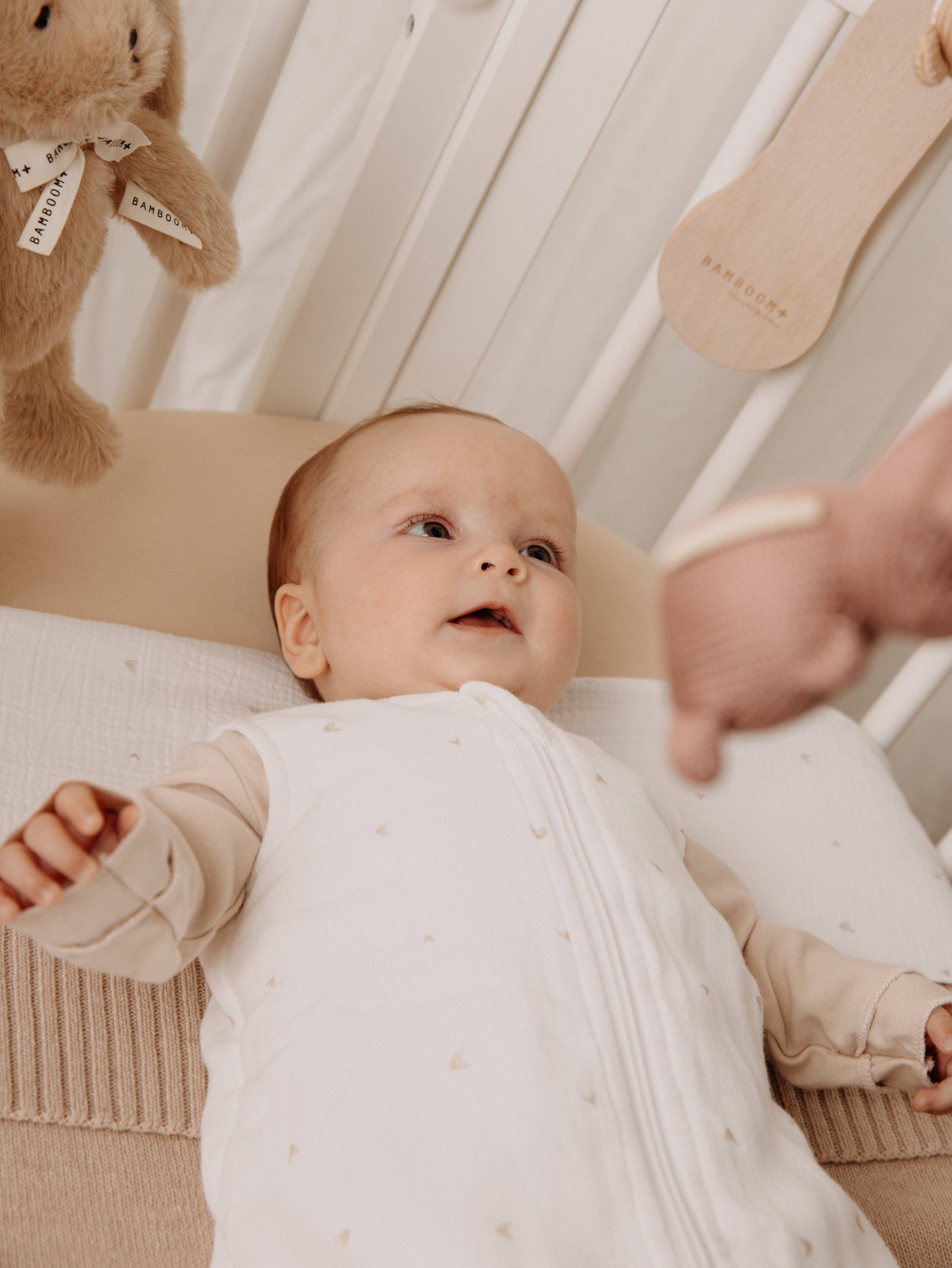 sacco-nanna-estivo-bamboom-new-born-hearts-287-tog-1-1 image 4