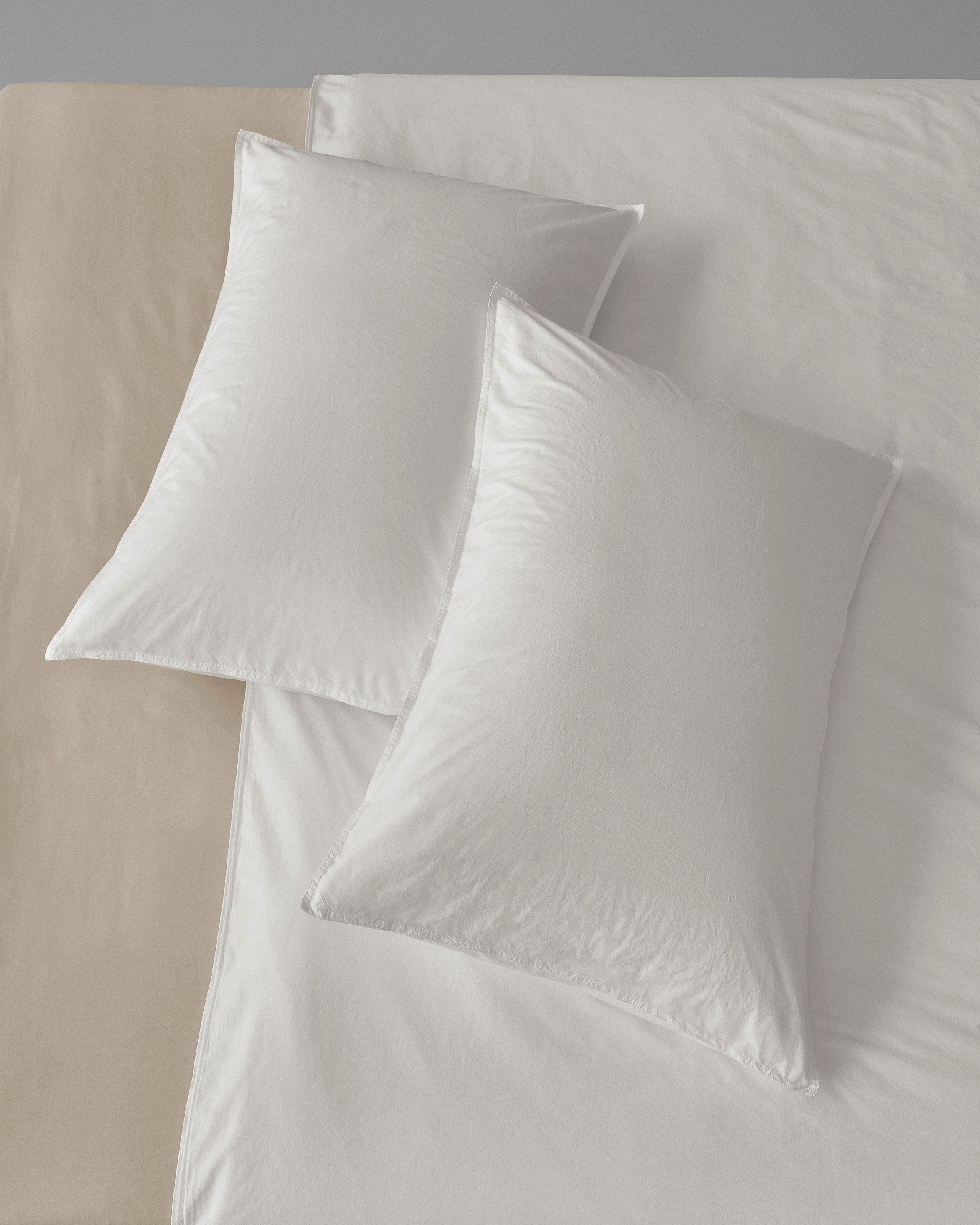 society-limonta-nite-set-federe-in-cotone-pelle-d-uovo image 3