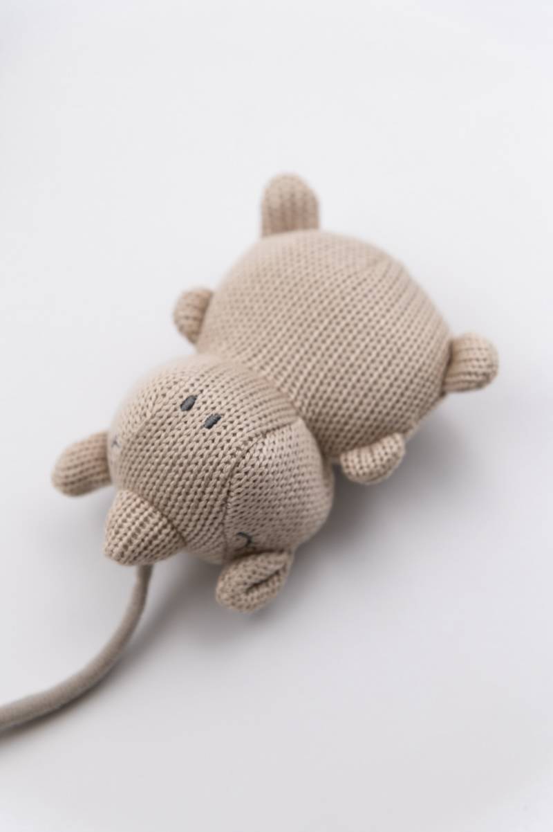 bamboom-stroller-string-toys-animal-friends-sabbia-09 image 5